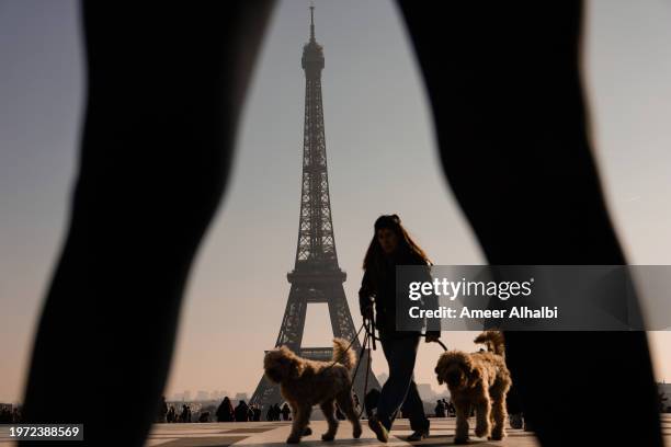Woman passe with her two dogs next to the Eiffel Tower on January 11, 2024 in Paris, France. The city is gearing up to host the XXXIII Olympic Summer...