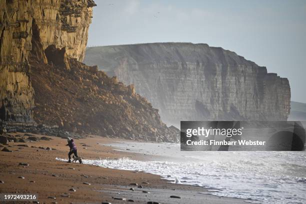 Person and their dog run from the waves below the cliffs after a large rock fall at East Beach cliffs, on January 30, 2024 in West Bay, United...