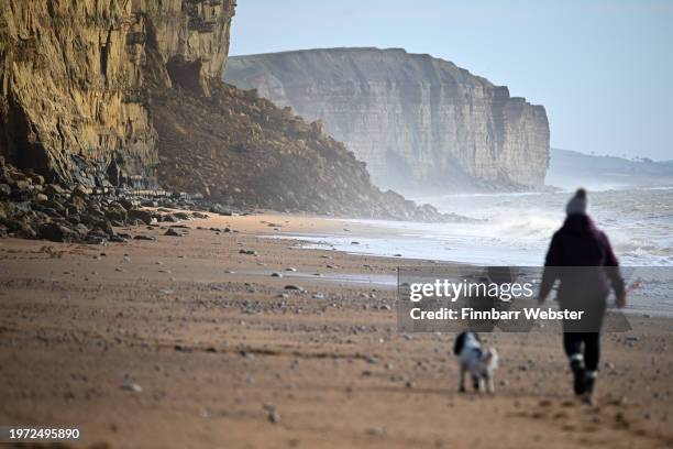 Person walks their dog below the cliffs after a large rock fall at East Beach cliffs, on January 30, 2024 in West Bay, United Kingdom.