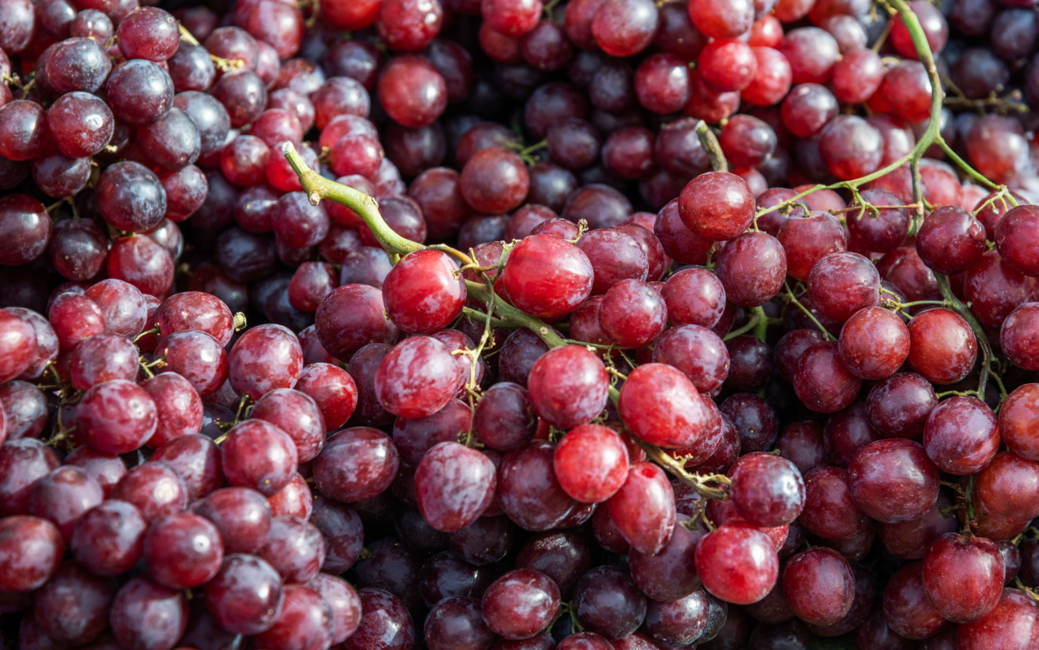 grape market
