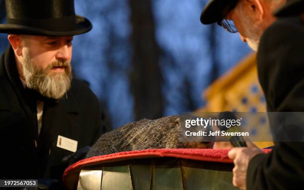 Groundhog handler AJ Dereume holds Punxsutawney Phil after he did not see his shadow predicting an early Spring during the 138th annual Groundhog Day...