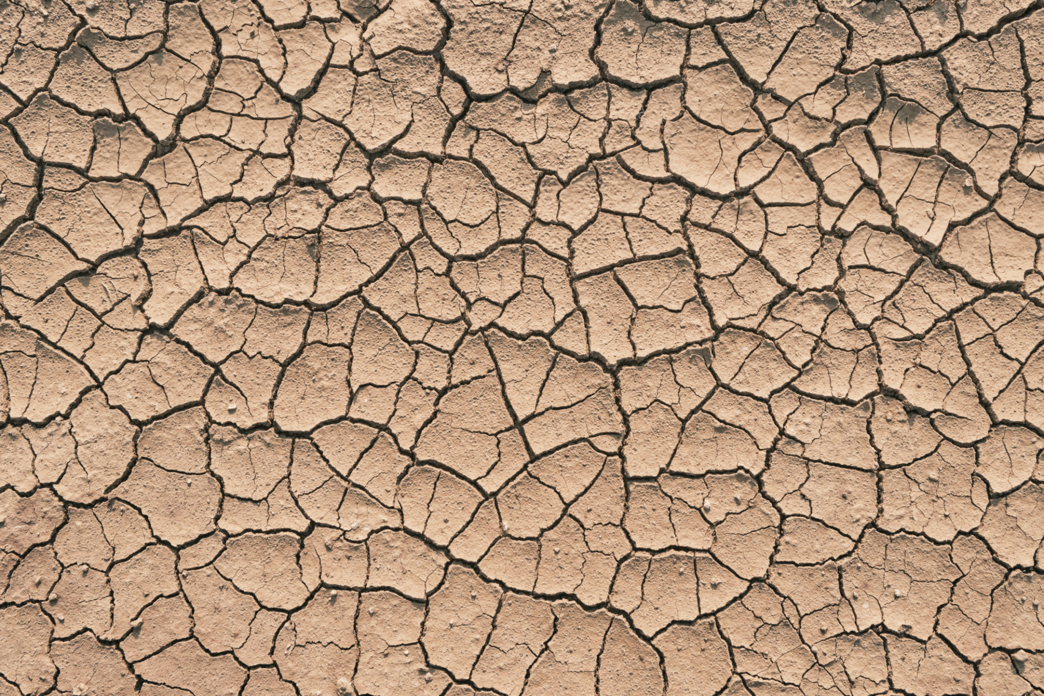 drought