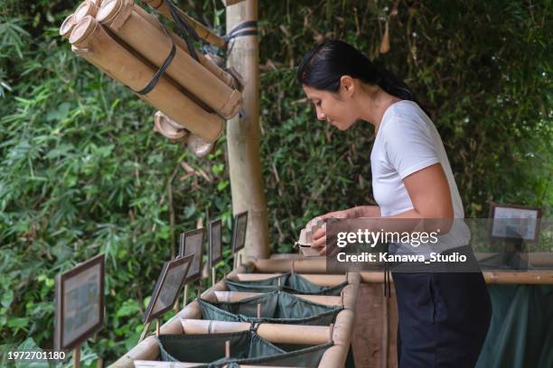 waste management in eco green building - bamboo stock pictures, royalty-free photos & images