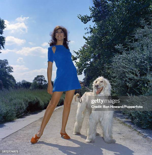 English actress and singer Anita Harris posed with an Afghan Hound dog in London in 1967.