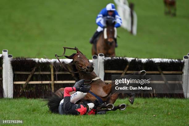 Jaminska and David Noonan fall at the last in The Cuffe and Taylor Handicap Hurdle Race at Chepstow Racecourse on January 30, 2024 in Chepstow, Wales.