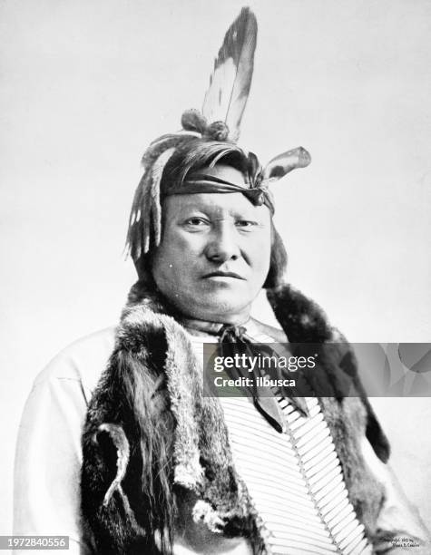 illustrazioni stock, clip art, cartoni animati e icone di tendenza di ritratto di gente comune del 1894: rain-in-the-face, sioux - indians sioux one