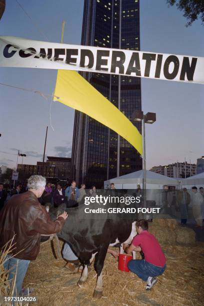 Around a hundred farmers from the Confédération Paysanne set up in front of Montparnasse station in Paris with cows on October 4, 1990 to protest...