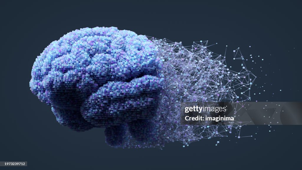 Digital Brain Connections