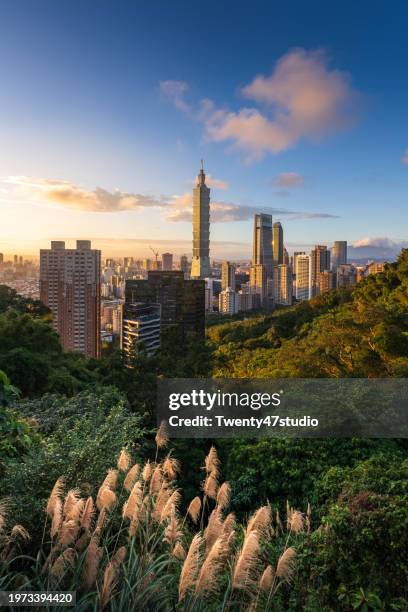 dense modern buildings in taipei city financial district during sunset - taipei stock pictures, royalty-free photos & images
