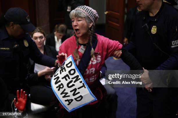 Protester Leslie Angeline of CodePink is removed by members of U.S. Capitol Police during a hearing before the Subcommittee on Oversight and...