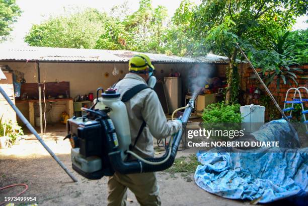 National Malaria Eradication Service worker fumigates during a house-to-house operation aimed at eradicating the Aedes aegypti mosquito, which...