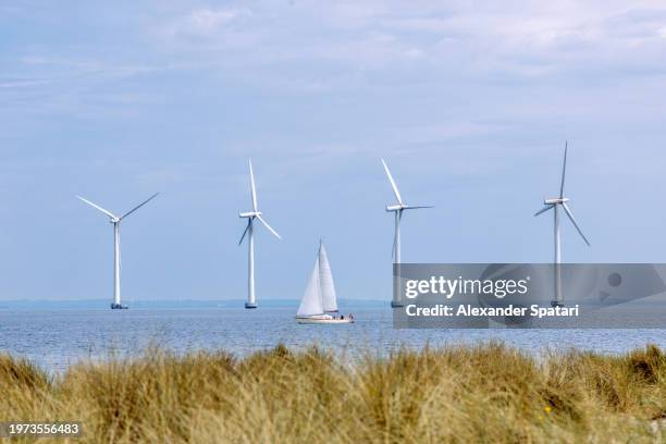 boat sailing along wind turbines near copenhagen, denmark - north sea denmark stock pictures, royalty-free photos & images