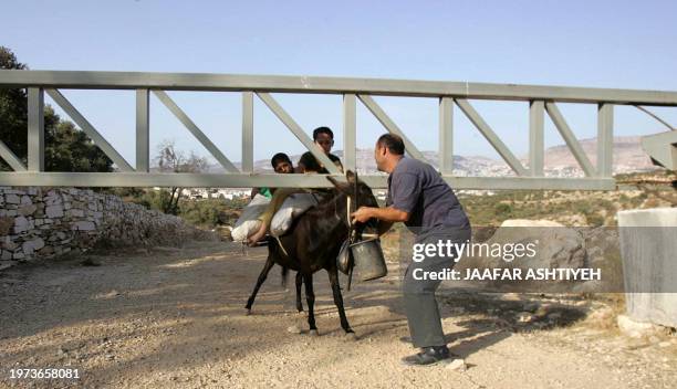 Palestinian farmer pulls his donkey from under a barrier set up by the Israeli military to protect nearby Jewish settlers as he makes his way to his...