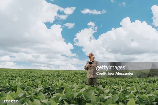 un agriculteur inspecte une plantation de soja - activité agricole photos et images de collection