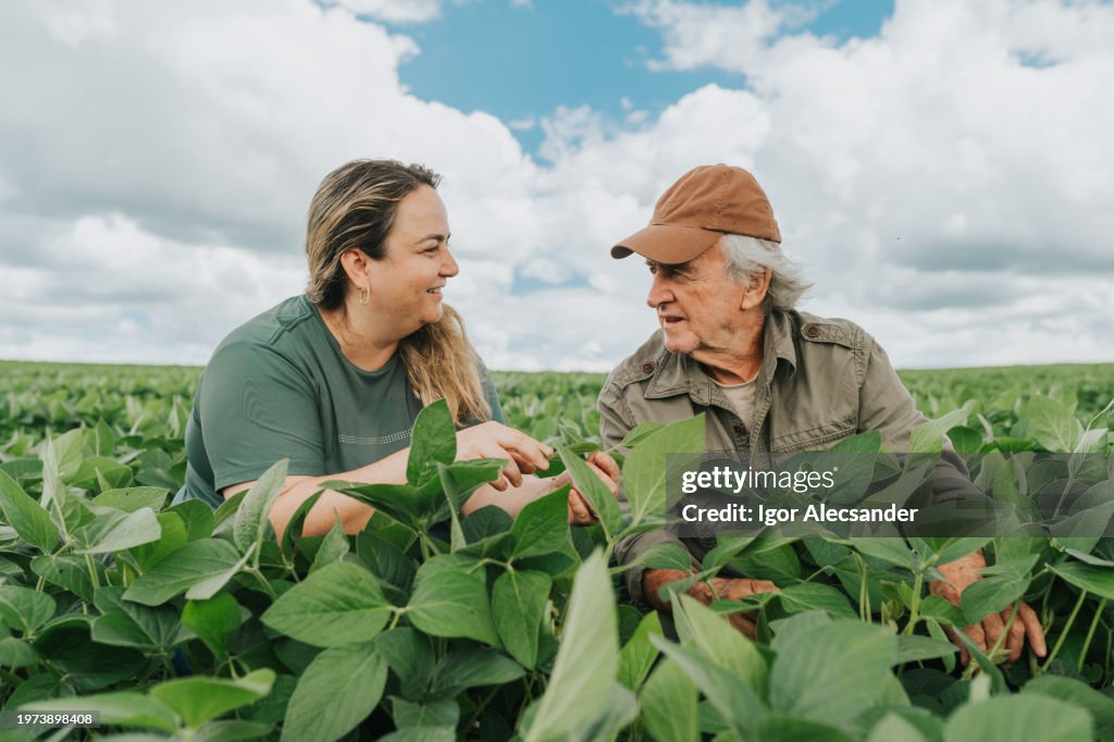 Female agronomist and farmer at soybean crop