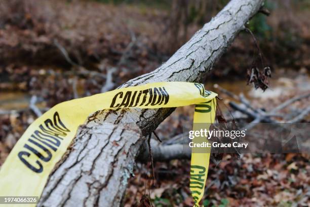 caution tape on fallen tree after storm - phénomène climatique extrême photos et images de collection