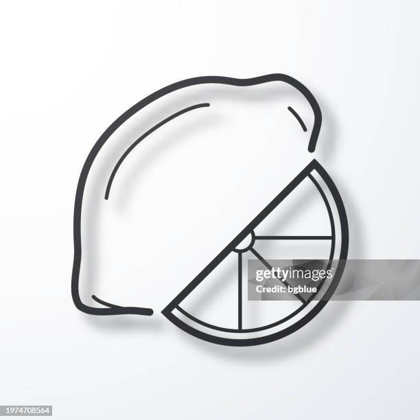 lemon and slice. line icon with shadow on white background - lime slice stock illustrations
