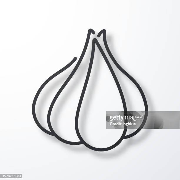 knoblauch. liniensymbol mit schatten auf weißem hintergrund - garlic clove stock-grafiken, -clipart, -cartoons und -symbole