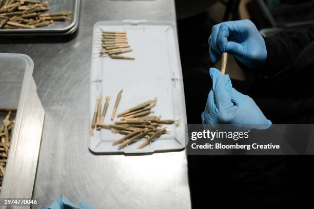 a person prepares cannabis joints - a j price stock pictures, royalty-free photos & images