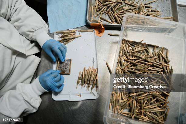 a person prepares cannabis joints - a j price stock pictures, royalty-free photos & images