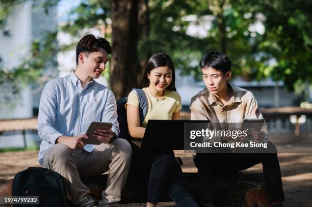 3 multiracial group of students talking in university garden. - studentenvakbond stockfoto's en -beelden