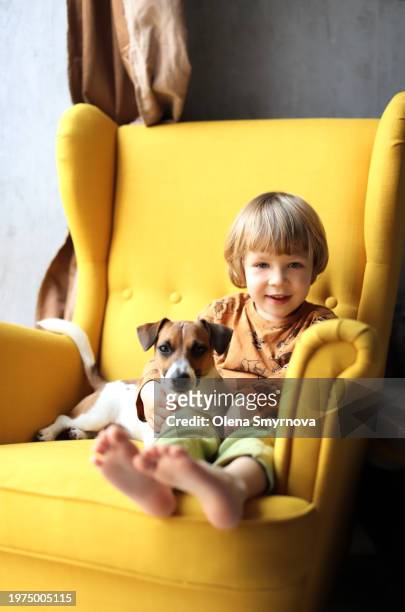 little boy and jack russell terrier dog sitting on an armchair and looking at camera - quadrupedalism stock pictures, royalty-free photos & images