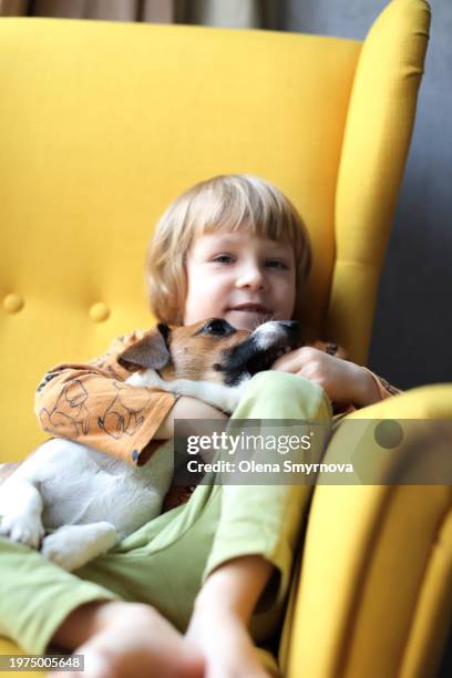 little boy and jack russell terrier dog sitting on an armchair and looking at camera - quadrupedalism stock pictures, royalty-free photos & images