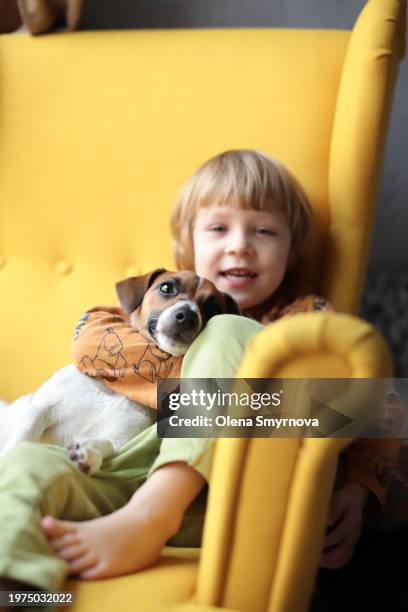 little boy and jack russell terrier dog sitting on an armchair and looking at camera - quadrupedalism stock pictures, royalty-free photos & images