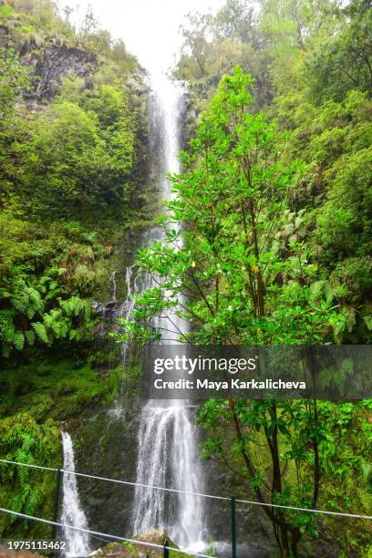 waterfall at caldeirao verde levada - madeira waterfall stock pictures, royalty-free photos & images