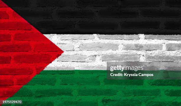 flag of state of palestine painting on brick wall - palestine stock pictures, royalty-free photos & images