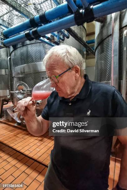 Winemaker Pieter Ferreira checks up on fermenting Pinot Noir wine during harvest season at the Graham Beck Estate winery on January 24, 2024 near...