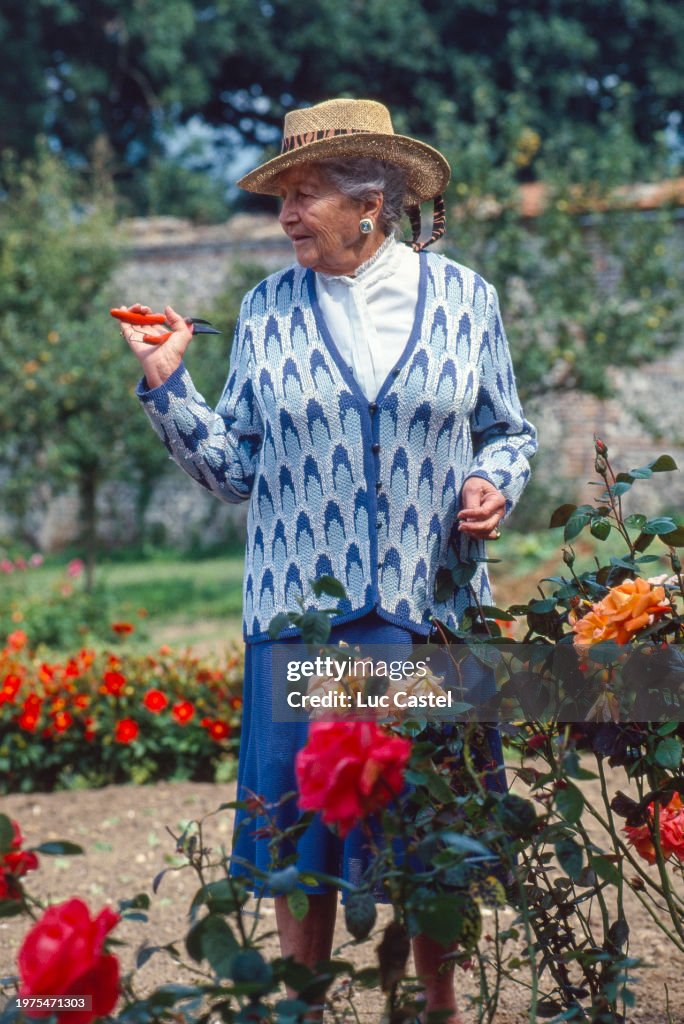 France Royal Family
