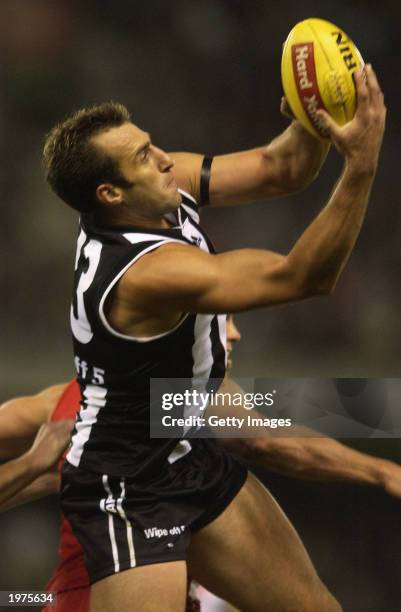 Anthony Rocca Friends 20 Sydney Swans Anthony Rocca Photos & High Res Pictures - Getty Images