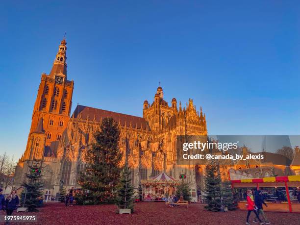 christmas market den bosch - oliebol 個照片及圖片檔