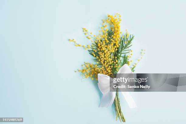 mimosa with a white bow on a blue background and copy space - mimosa drink stock pictures, royalty-free photos & images
