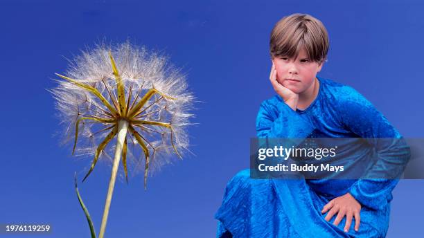 Composite photograph of a young girl in a blue dress sitting in a field as she studies the seed head of a wild dandelion in Oregon, 2006. .