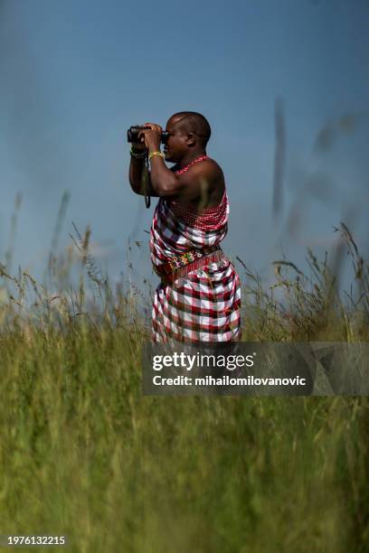 observation of the surroundings - east african tribe stock pictures, royalty-free photos & images