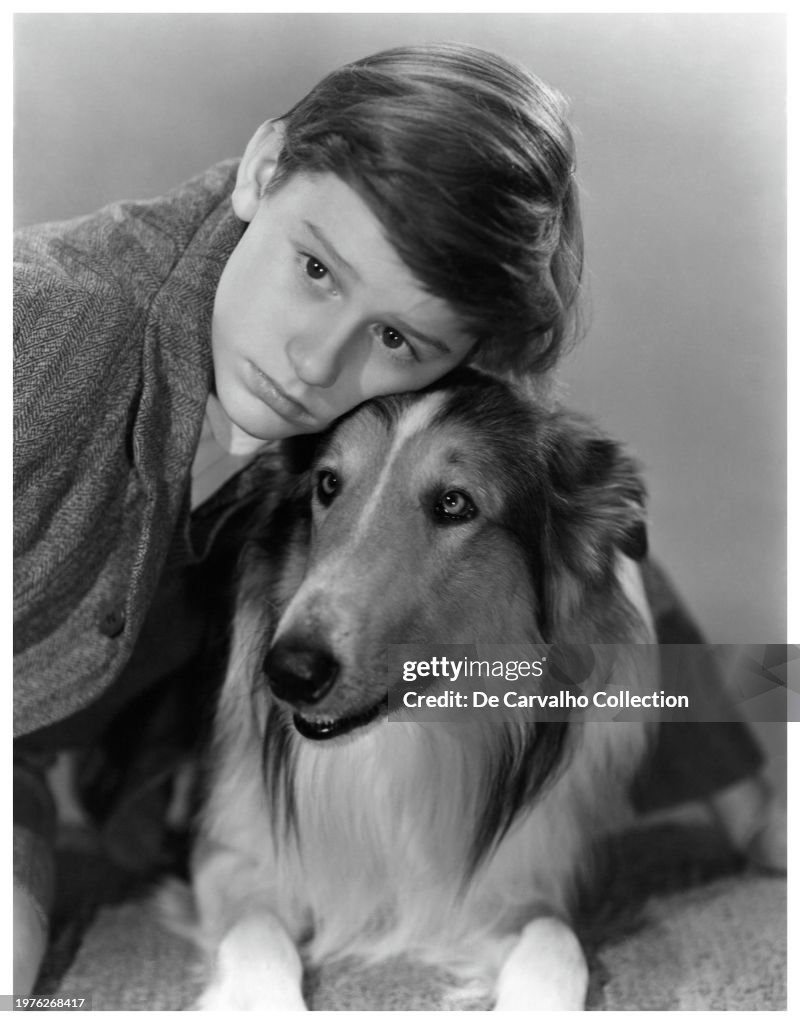 Actor Roddy Publicity portrait of British child actor Roddy McDowall and Pal in ...