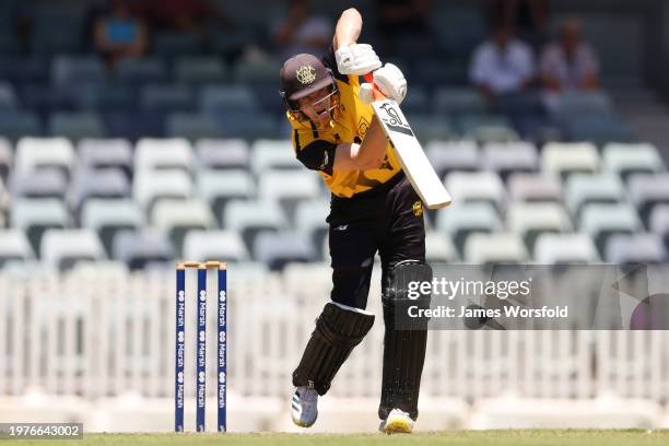 Cameron Bancroft of Western Australia plays a straight drive during the Marsh One Day Cup match between Western Australia and New South Wales at...