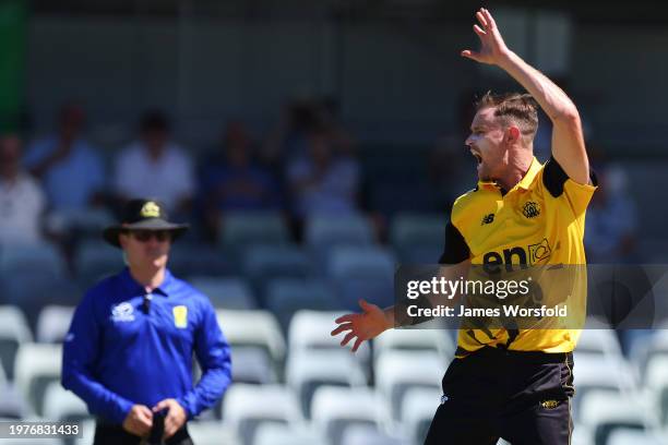 Jason Behrendorff of Western Australia starts to turn back to appeal to the umpire during the Marsh One Day Cup match between Western Australia and...