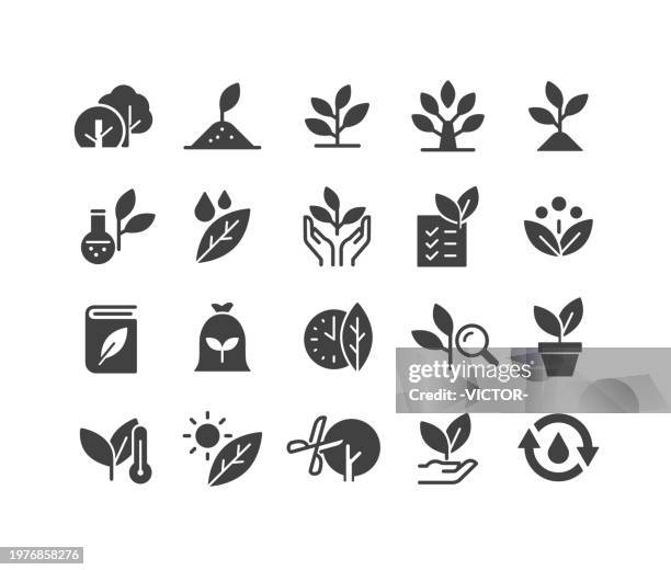 pflanzen-ikonen - classic series - pflanzliches entwicklungsstadium stock-grafiken, -clipart, -cartoons und -symbole