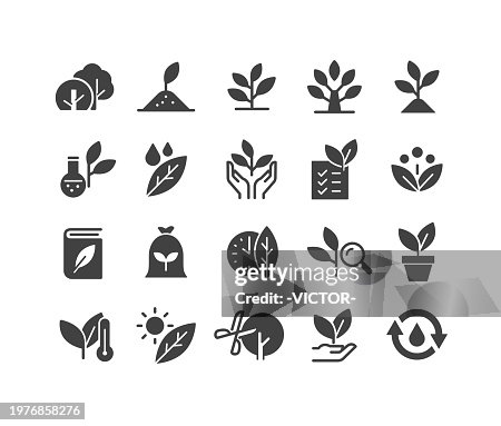 Icônes de plantes - Série classique Icônes de plantes - Série classique