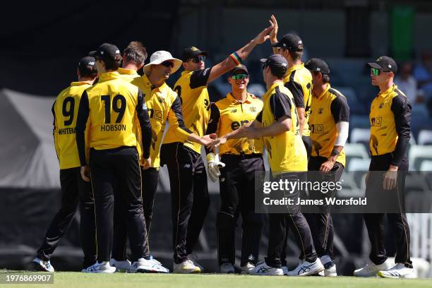 Andrew Tye of Western Australia high fives the team after a wicket during the Marsh One Day Cup match between Western Australia and New South Wales...