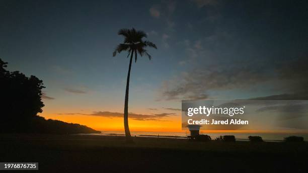 sunset silhouette of palm tree & lifeguard shack, hapuna beach state recreation area, hapuna beach public access big island hawaii, waialea bay section, landscaped beach park, beach related activities, department of land and natural resources - sunset bay state park stockfoto's en -beelden