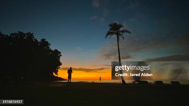 sunset silhouettes, man, palm tree, lifeguard hut, hapuna beach state recreation area, hapuna beach public access big island hawaii, waialea bay section, landscaped beach park, beach related activities, department of land and natural resources - sunset bay state park stockfoto's en -beelden