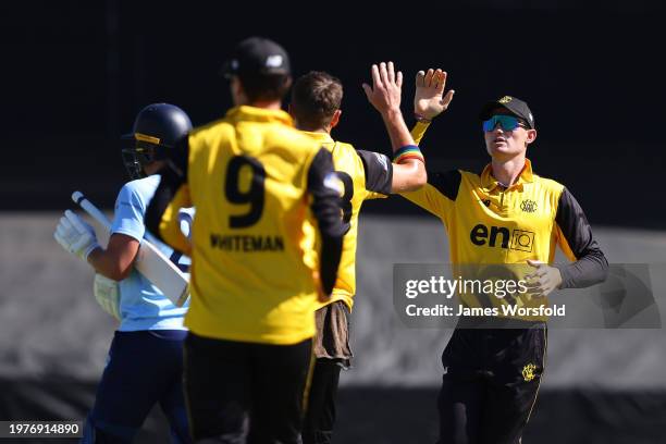 Cameron Bancroft of Western Australia celebrates the wicket from Andrew Tye of Western Australia during the Marsh One Day Cup match between Western...