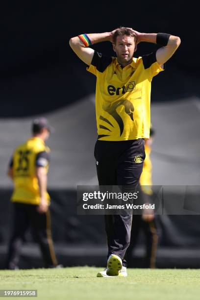 Andrew Tye of Western Australia reacts after his bowling during the Marsh One Day Cup match between Western Australia and New South Wales at WACA, on...