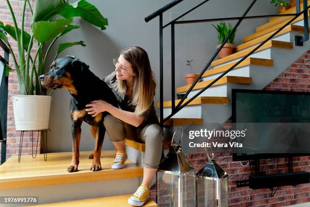 Three Rottweilers Woman 308 Female Rottweiler Stock Photos, High-Res Pictures, and Images ...