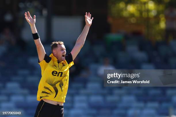 Jason Behrendorff of Western Australia appeals to the umpire during the Marsh One Day Cup match between Western Australia and New South Wales at...