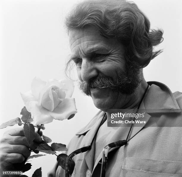 Ruddignton Roses 30 Harry Wheatcroft Stock Photos, High-Res Pictures, and Images - Getty ...